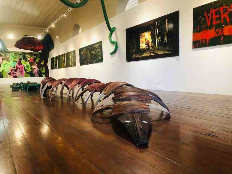 Exposição ’Verde Amazonas’ traz sons, cores e texturas da Amazônia ao Palacete Provincial