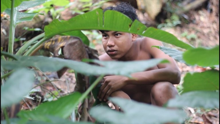 Cineclube de Arte apresenta mostra ‘Olhar Indígena’ no Cineteatro Guarany