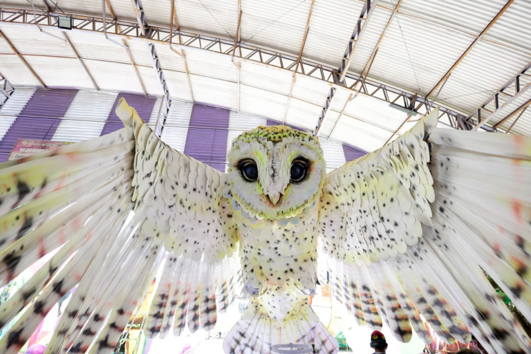 Festival de Cirandas 2024: Intercâmbio cultural e inovação são apostas das cirandas de Manacapuru