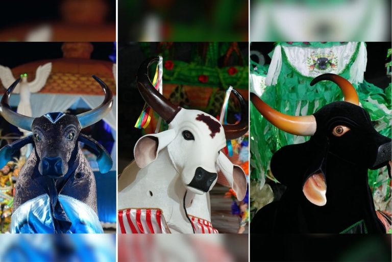 Batalha dos bois-bumbás marca a última noite do 67º Festival Folclórico do Amazonas