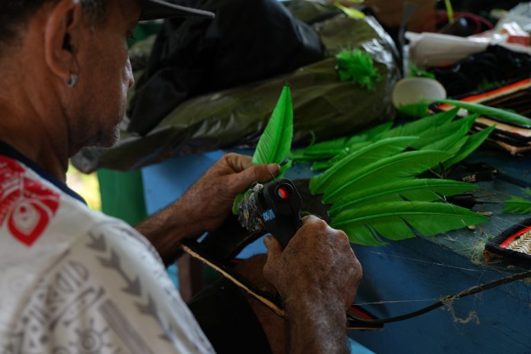 Cirandas de Manacapuru revelam propostas artísticas que misturam tradição e inovação