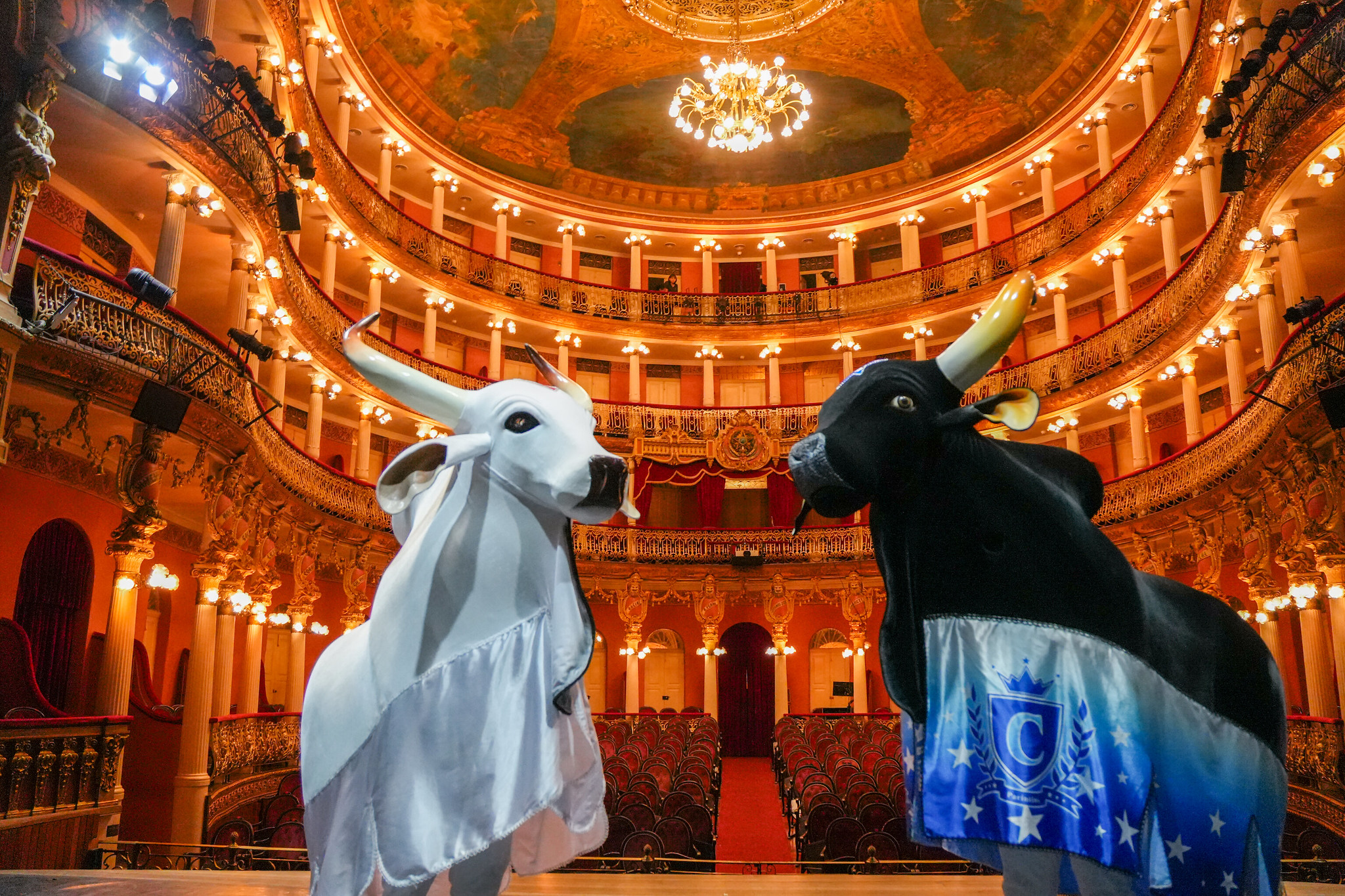 Inscrições Abertas para a 1ª Teia Amazonas e Pré-Fórum Cultura Viva, Fortalecendo a Política Cultural no Estado