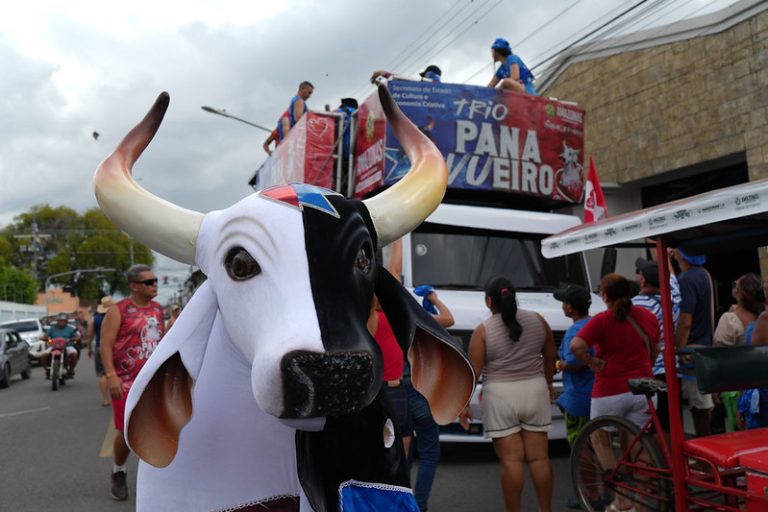 Festival de Parintins 2026: Trio Panavueiro leva ritmo do boi-bumbá às ruas de Parintins