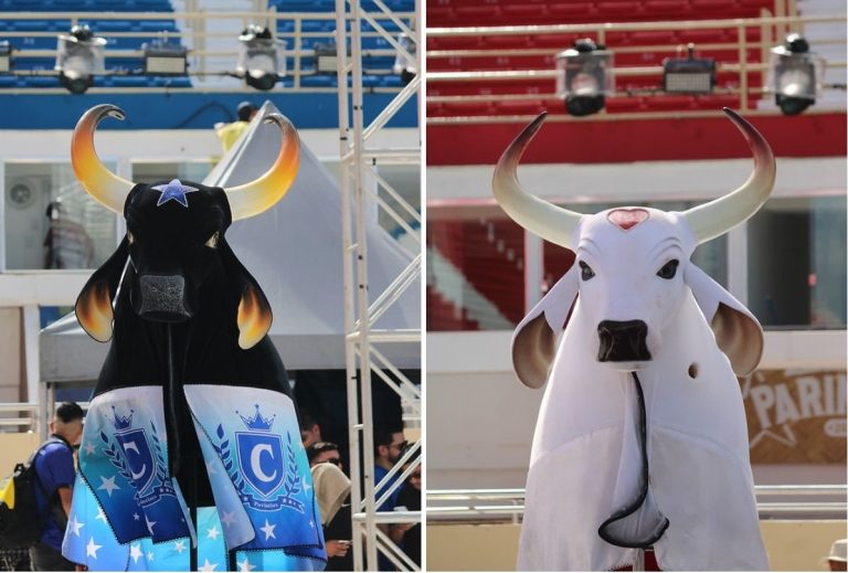 Festival de Parintins 2026: Caprichoso abre e Garantido encerra apresentações no Bumbódromo