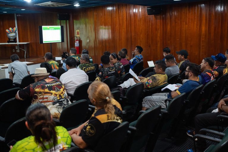 Apuração da Categoria Ouro define campeões do 68º Festival Folclórico do Amazonas